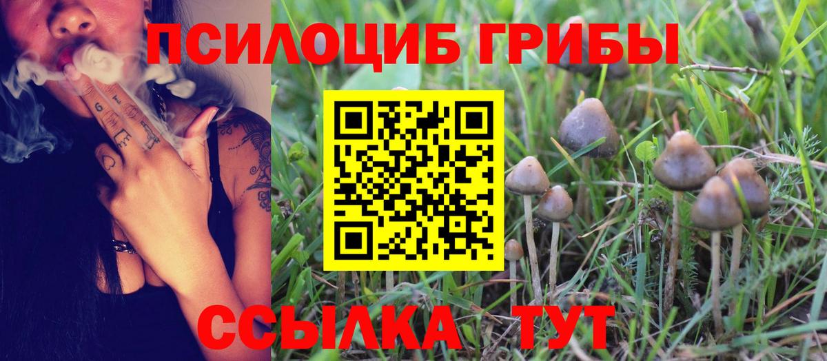 Псилоцибиновые грибы Cubensis Калуга